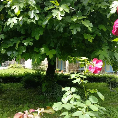 Country house Casa Ana Monteiro *