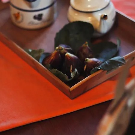 カントリーハウス Casa Ana Monteiro *