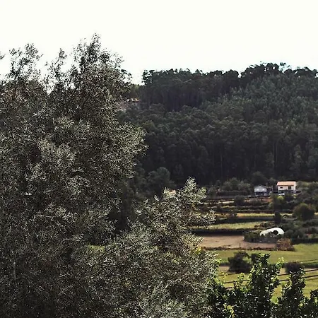 カントリーハウス Casa Ana Monteiro Vila Nova de Famalicão