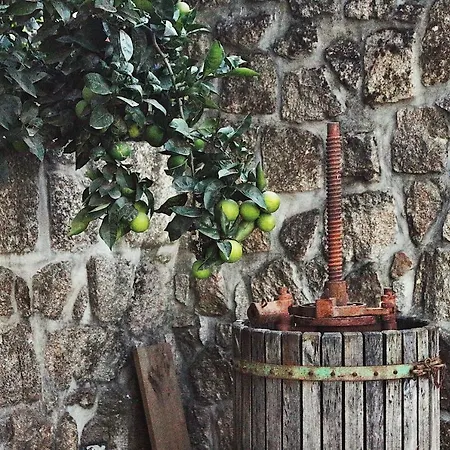 Casa Ana Monteiro カントリーハウス