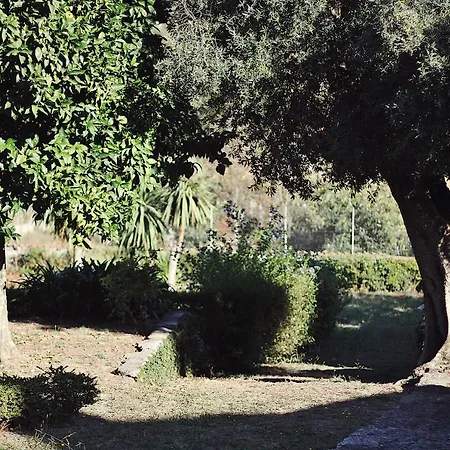 Casa Ana Monteiro Country house *